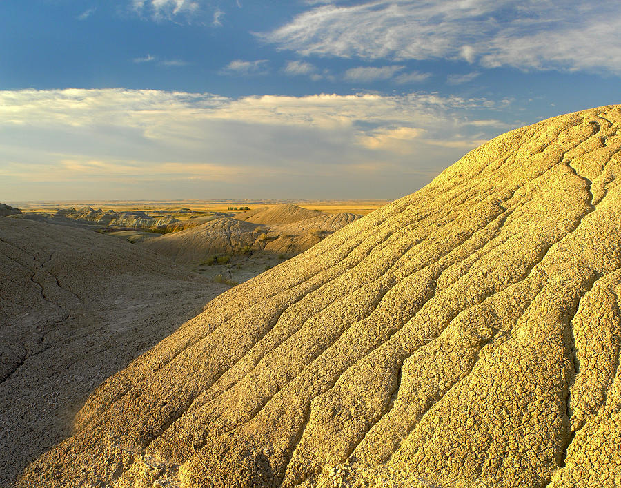 Detail Of Erosional Feature Badlands Photograph by Tim Fitzharris