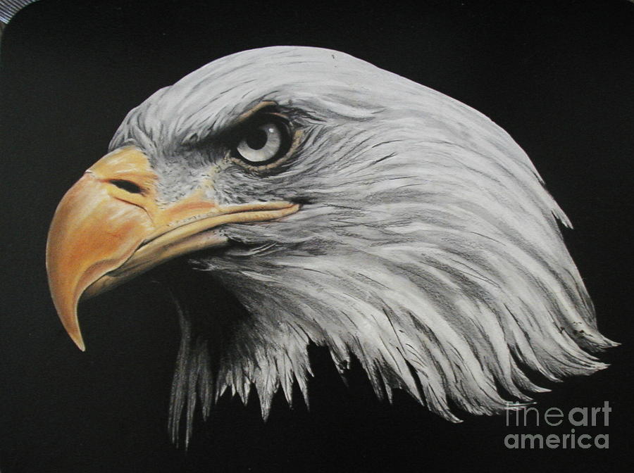 Eagle Drawing - Determined by Jerry Lee