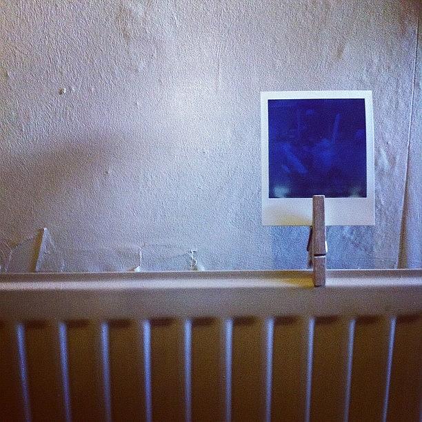 Developing A Polaroid Photograph by Brandon Andrews-Hewitt