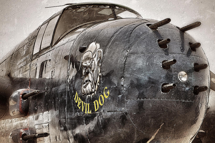 Jet Photograph - Devil Dog by Pair of Spades