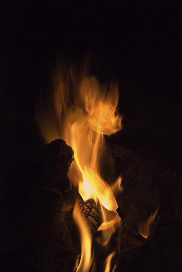 Bat Photograph - Devil In Flame by Ryan Louis Maccione
