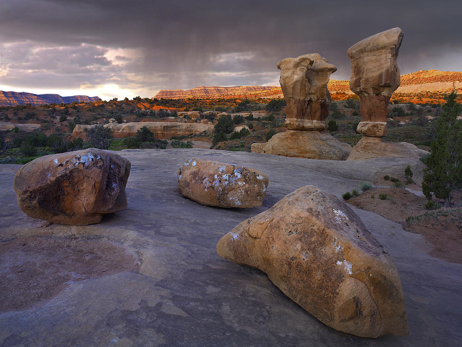 Devils Garden Sandstone Formations Photograph by Tim Fitzharris