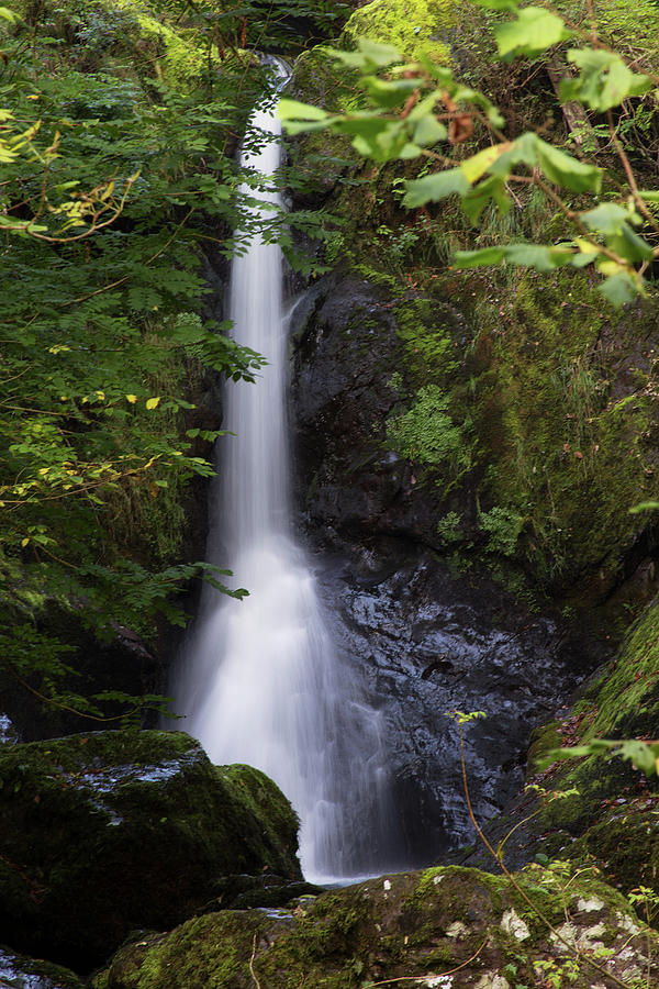 Devils Glen Waterfall Photograph by Celine Pollard