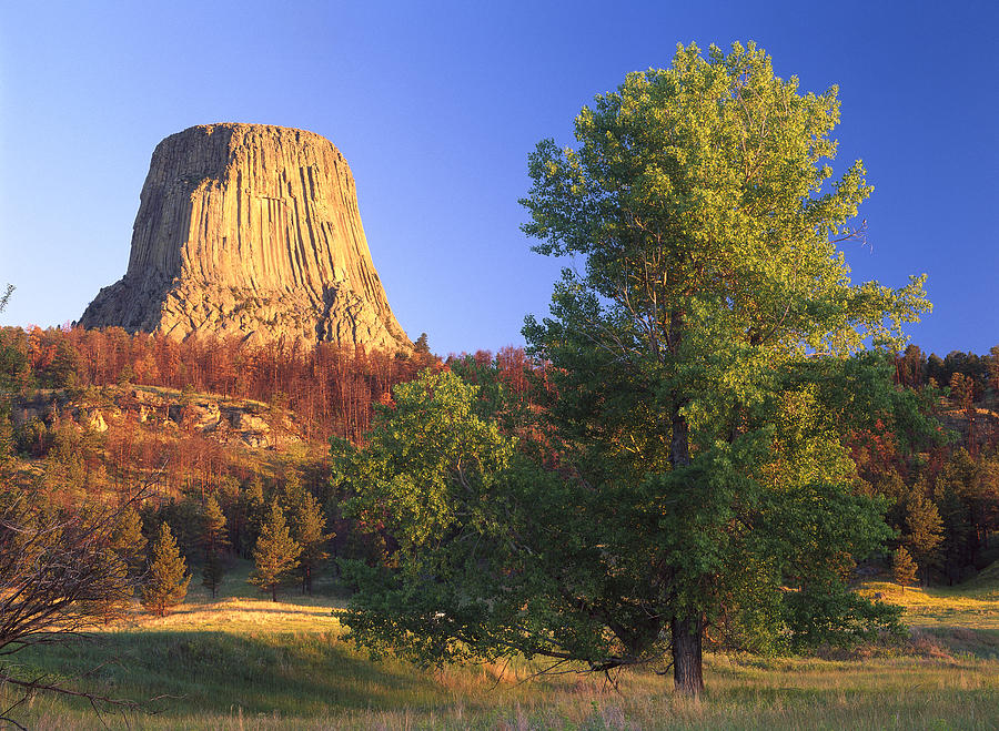 Devils Tower National Monument Showing Photograph by Tim Fitzharris