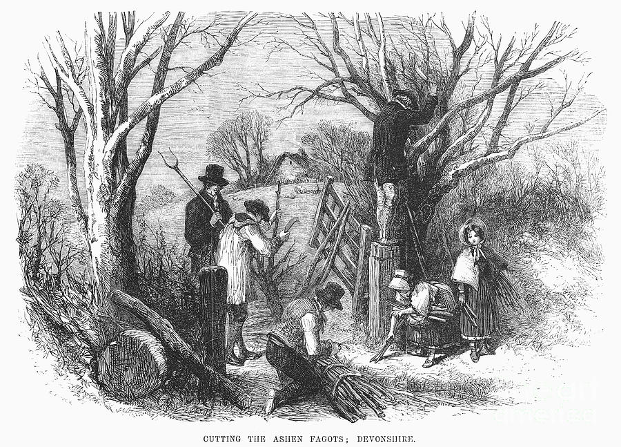 Devonshire: Christmas, 1854 Photograph by Granger
