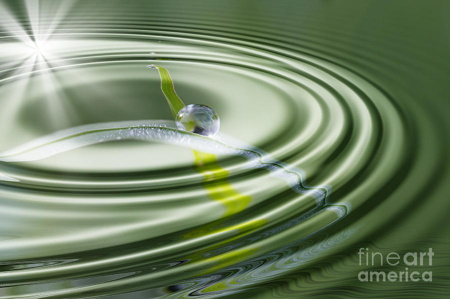 Abstract Photograph - Dew Bead On The Blade Of Grass by Michal Boubin