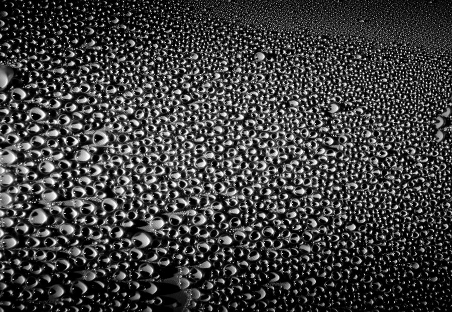 Nature Photograph - Dew drops by Sumit Mehndiratta