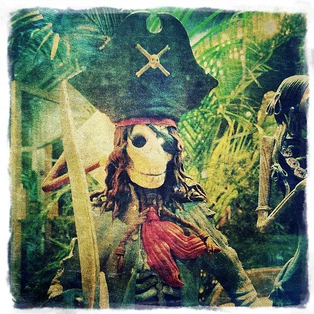 Skeleton Photograph - Dia De Los Muertes Pirate by Natasha Marco
