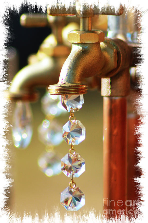 Diamond Drops Photograph by Lori Mellen-Pagliaro