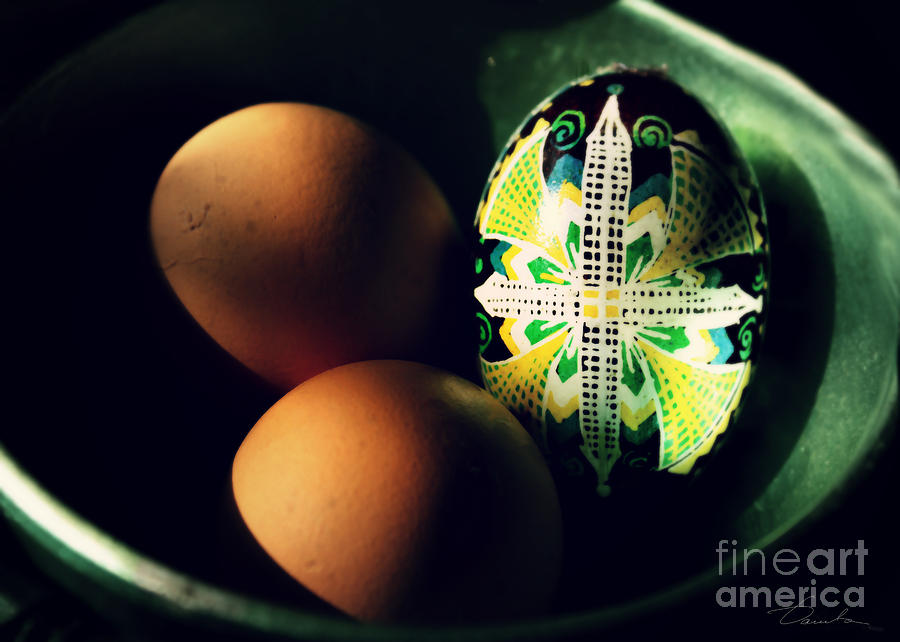 Different Egg Photograph by Danuta Bennett