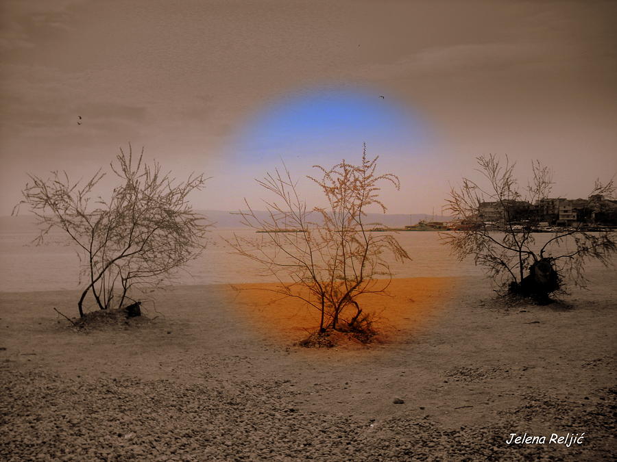 Different Poin Of View Photograph By Jelena Reljic Fine Art America 