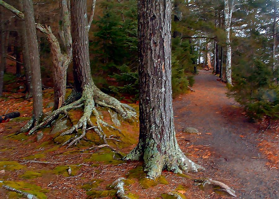 DIGITAL PAINTING MaryKedge trail Nova Scotia Canada Photograph by William OBrien