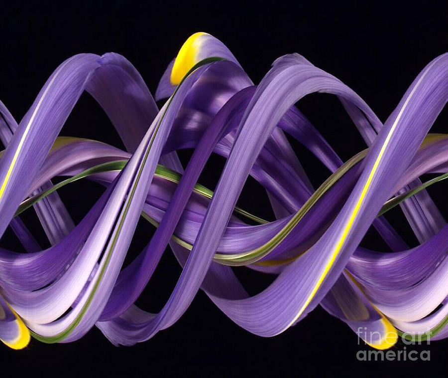 Pattern Photograph - Digital Streak Image Of An Iris by Ted Kinsman