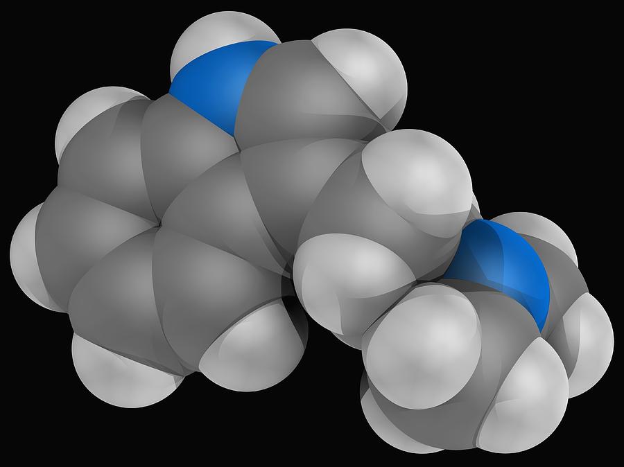 Dimethyltryptamine (dmt) Drug Molecule Digital Art by Laguna Design