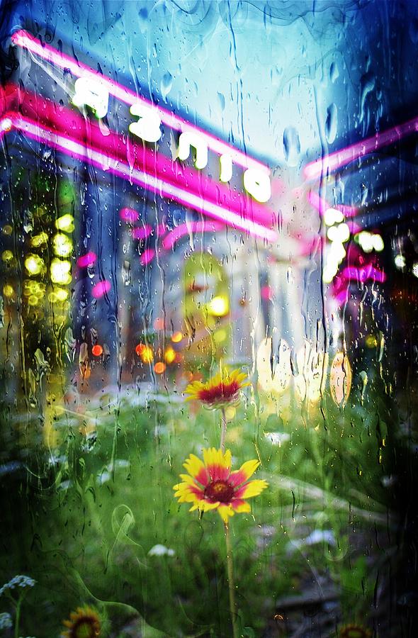 Diner Flower Rain - 2 Photograph by Larry Mulvehill