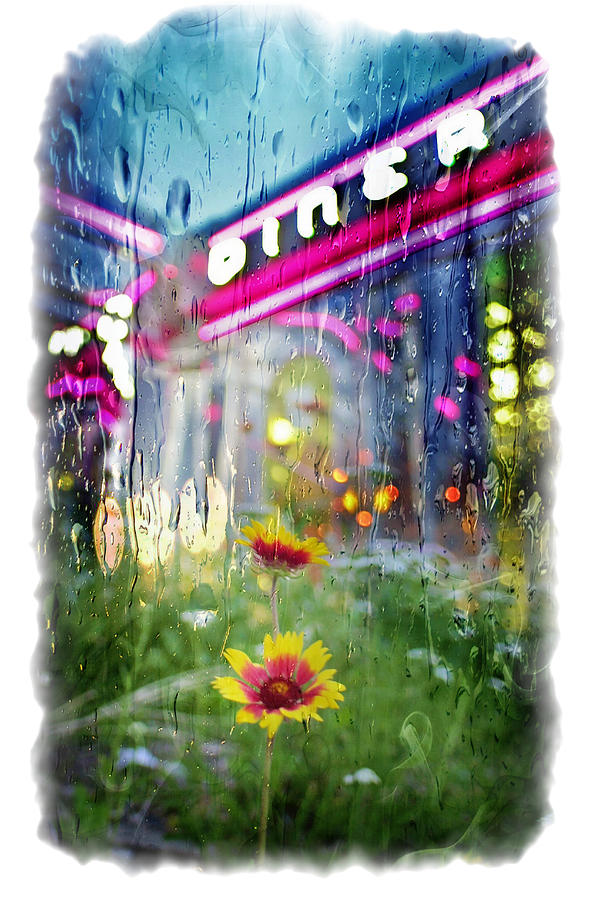 Diner Flower Rain Photograph by Larry Mulvehill