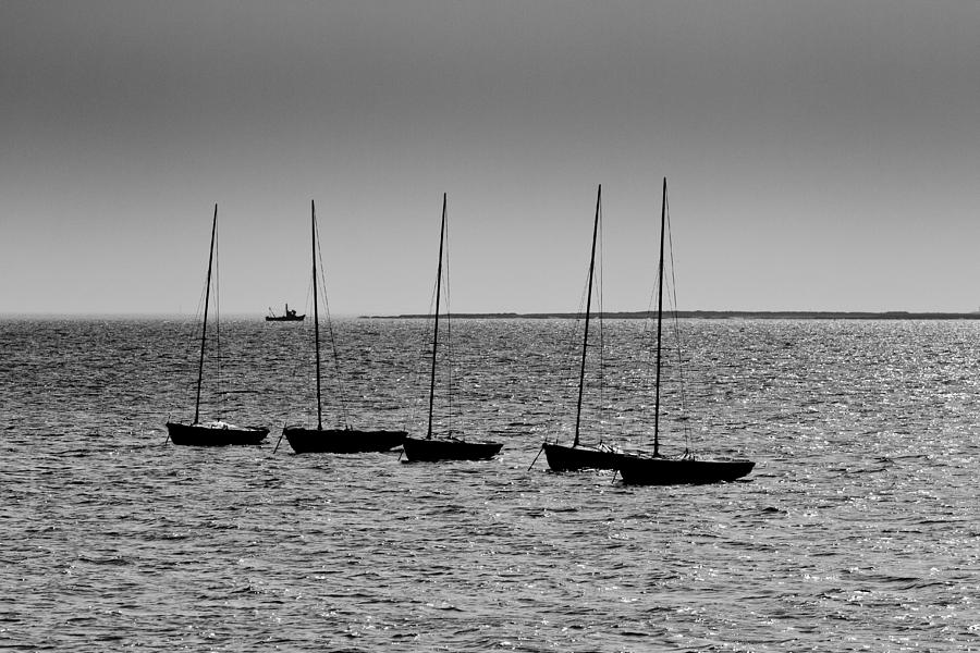 Boat Photograph - Dinghies moored off of Leigh on Sea Essex by David Pyatt
