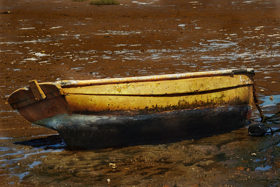 Dingy Photograph by Peter Jenkins Pixels