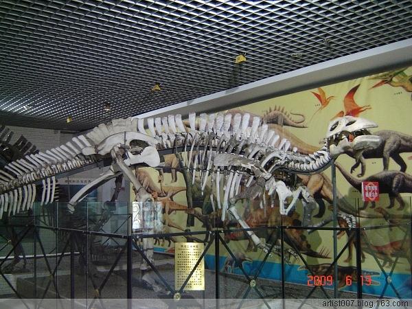 Dinosaur bone fossils Photograph by Lihuabing Lihuabing