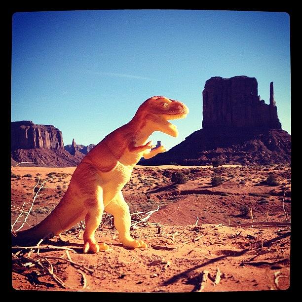 Nature Photograph - Dinosaure at Monument Valley by Isabel Poulin