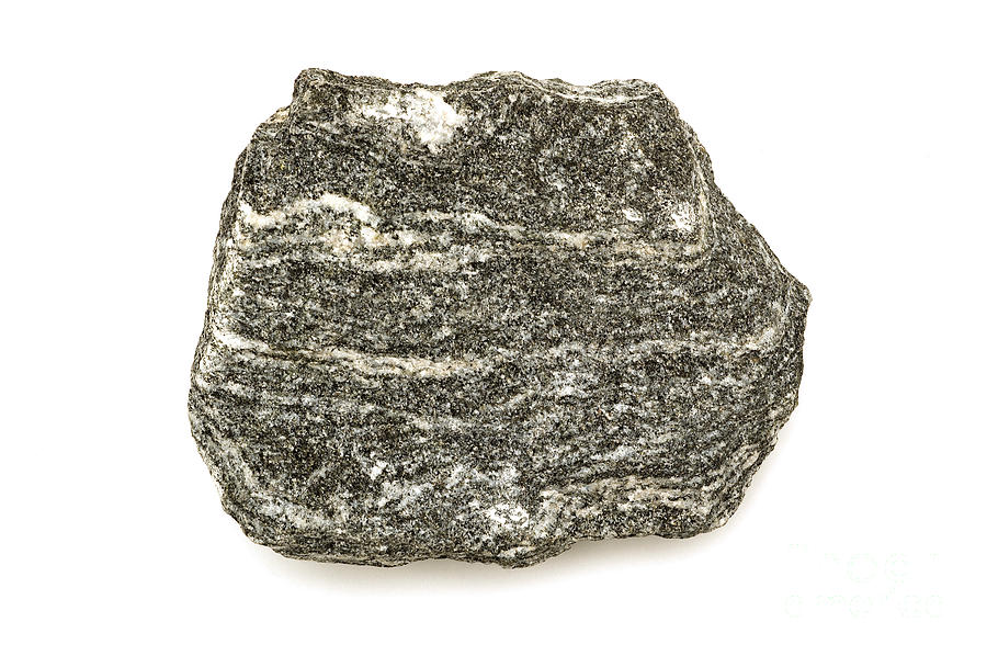 Diorite Gneiss Photograph by Ted Kinsman