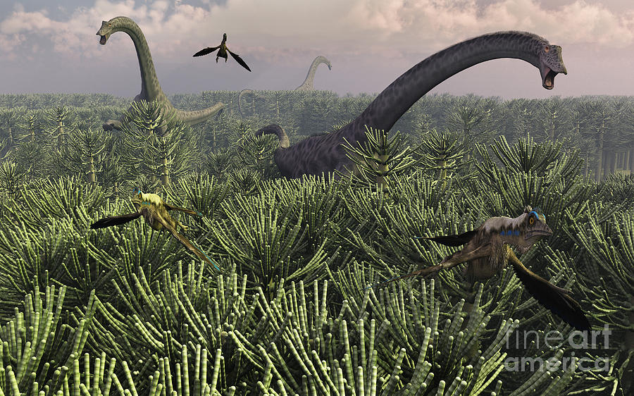 the sauropod dinosaurs