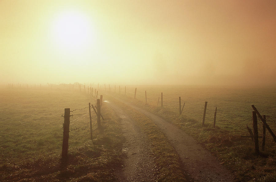 Dirt Road, Fence And Sun Shining Photograph by Konrad Wothe