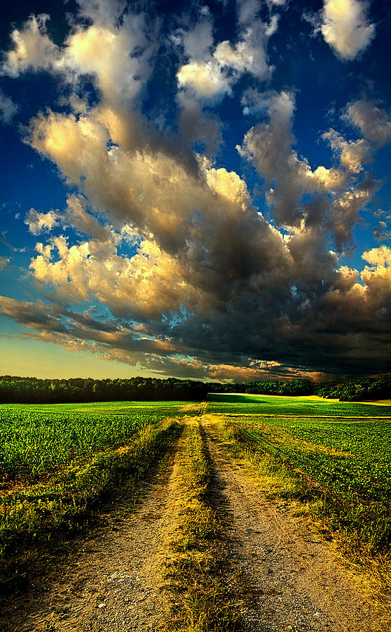 Dirt Road Photograph by Phil Koch