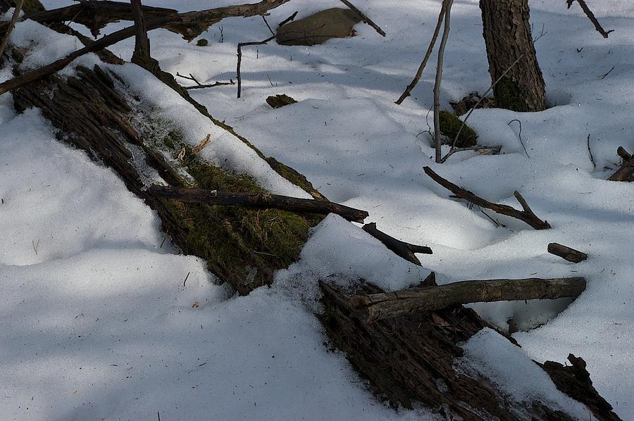 Winter Photograph - Dissipation by Joseph Yarbrough