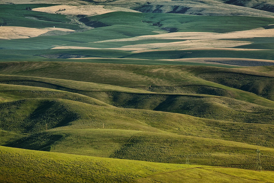 Distant Farmland Photograph by Jon Ares