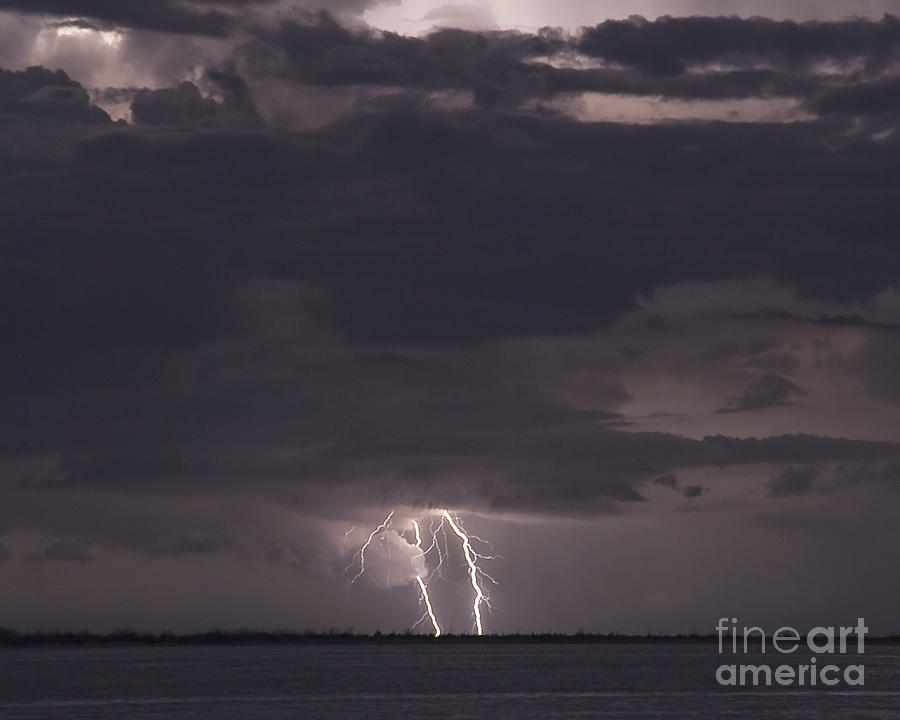 Tree Photograph - Distant Lightning  #1 by Stephen Whalen