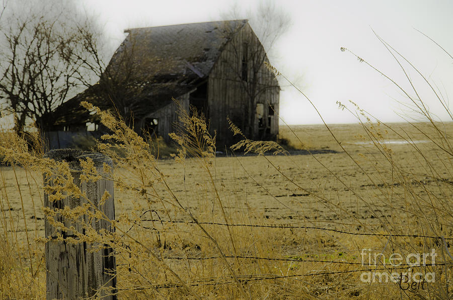 Barn Photograph - Distant Memory by Christine Belt