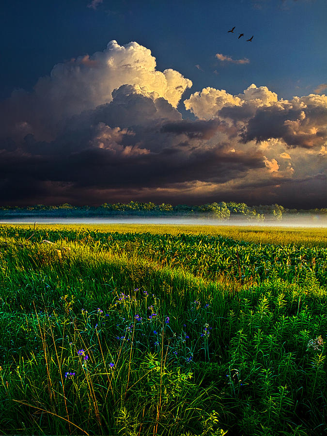 Landscape Photograph - Distant Thunder by Phil Koch