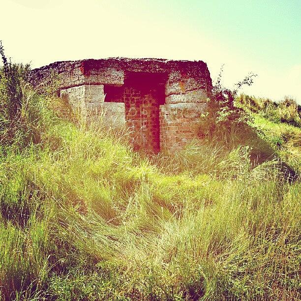 Summer Photograph - Disused World War 2 Bomb Shelter by Invisible Man