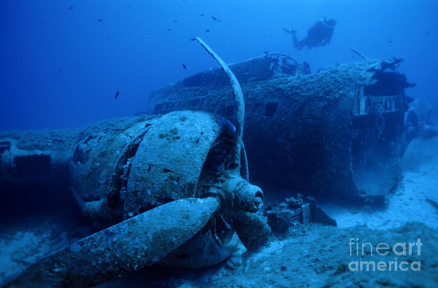 Diver exploring sunken B17 airplane wreck Photograph by Sami Sarkis
