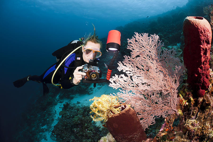 Diver Photographing Tube Sponge Photograph by Dave Fleetham