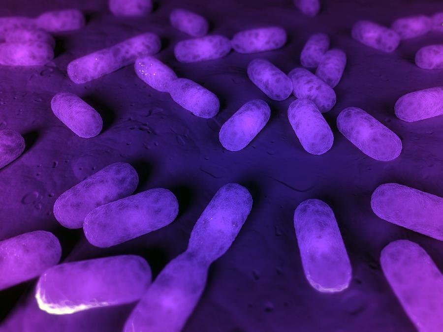 bacteria dividing blender tutorial