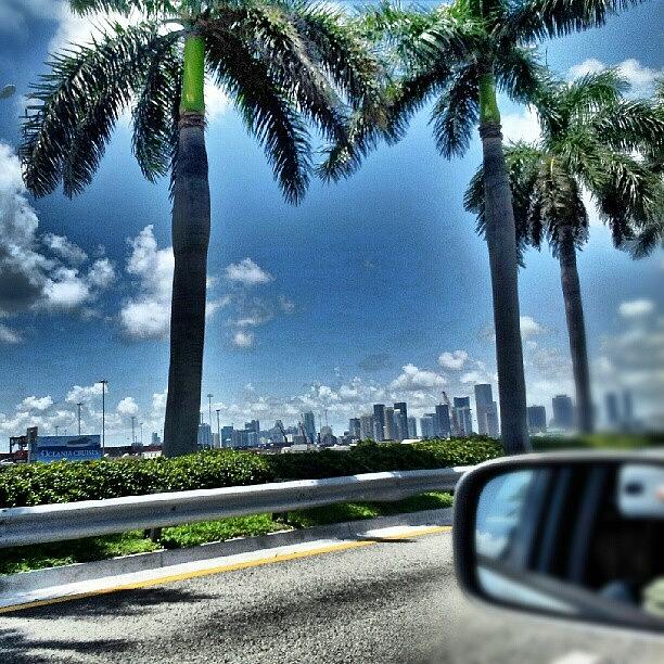 Summer Photograph - Diving Home #miami #sky #igdaily #photo by Travis Albert