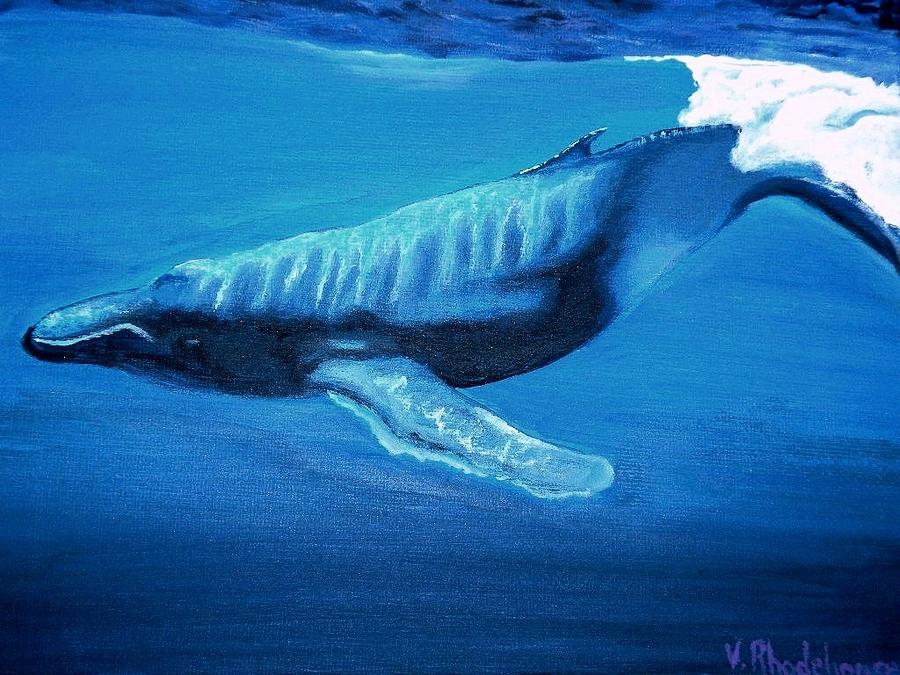 Diving Whale Painting by Victoria Rhodehouse