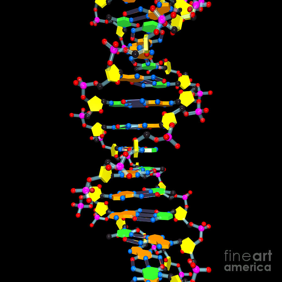 DNA 37 Black Digital Art by Russell Kightley