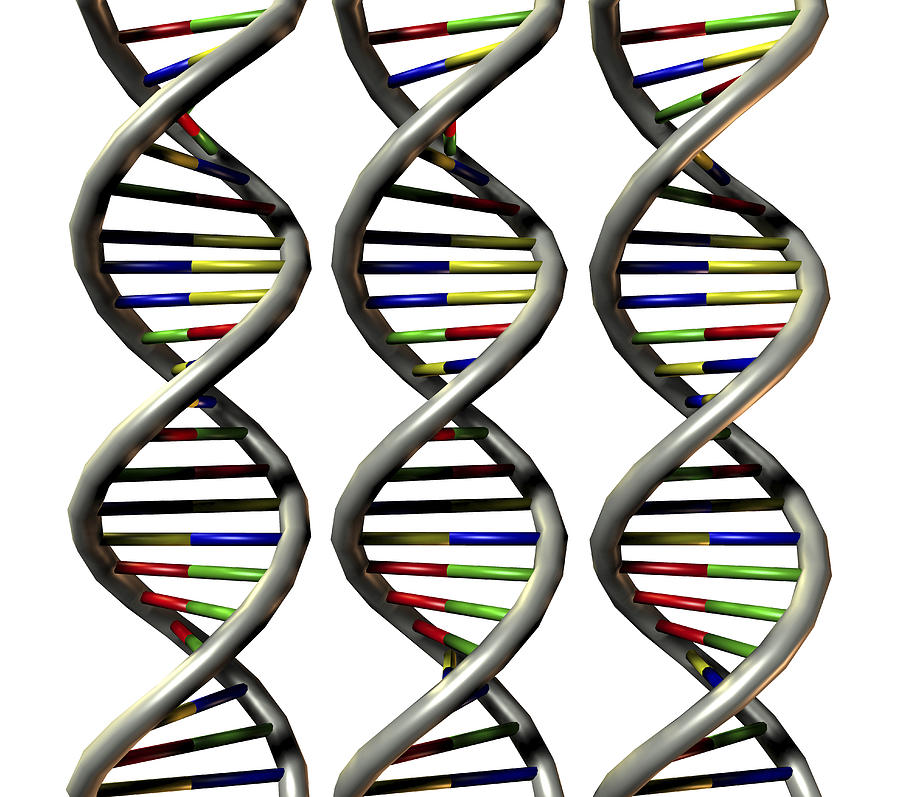 Sssr dna