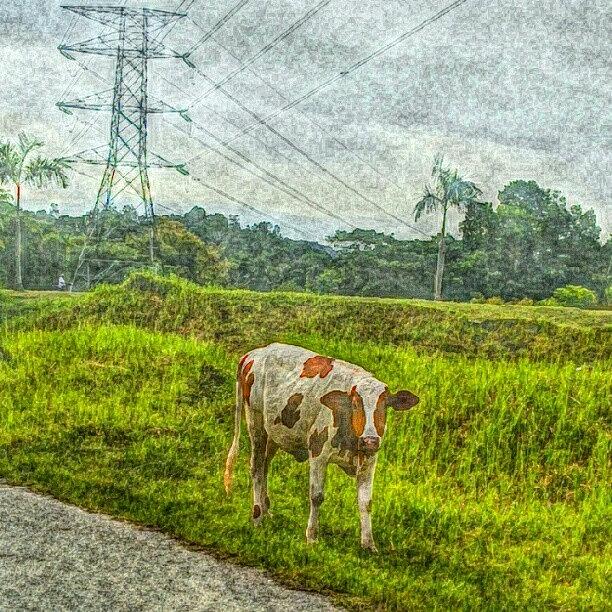 Awesome Photograph - Do I Know U? Lol... #hdr #hdr_lovers by Iskandar Bukan Alexander