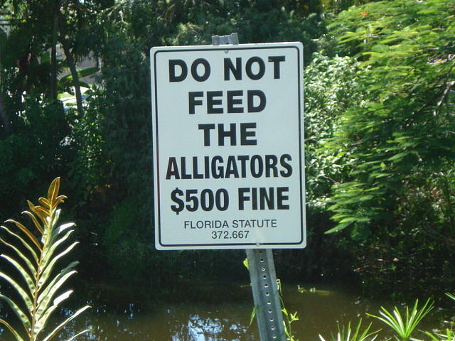 Do Not Feed The Alligators Photograph by Val Oconnor
