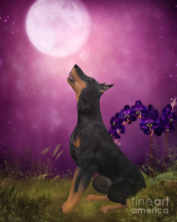 Doberman Dog Fantasy Digital Art by Smilin Eyes Treasures