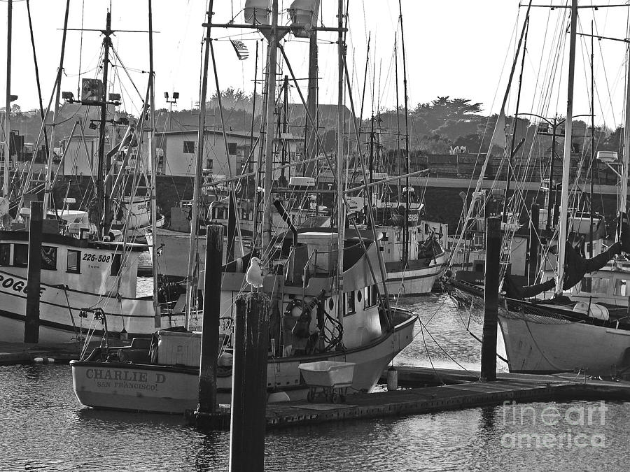 Black And White Photograph - Dock at the bay by Suze Taylor