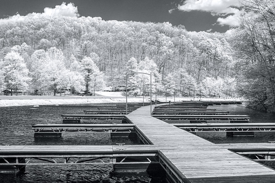 Dock in infrared Photograph by Mary Almond