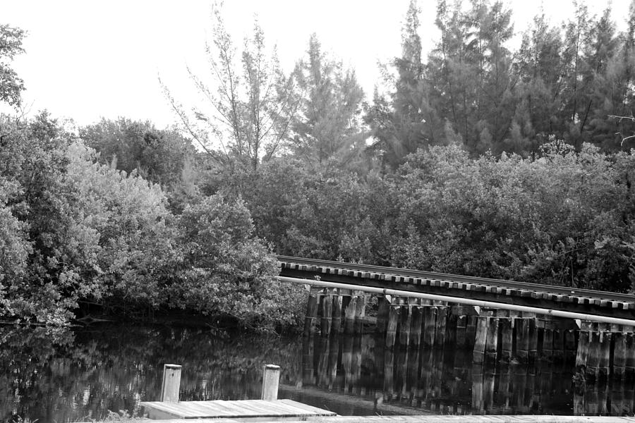 DOCK ON THE RIVER in BLACK AND WHITE Photograph by Rob Hans