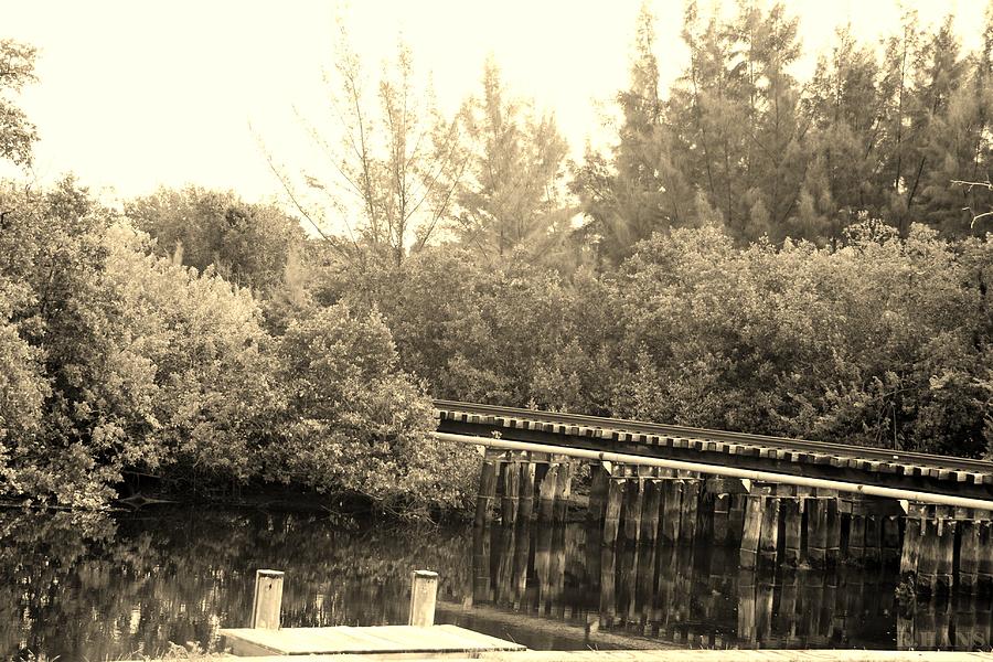 DOCK ON THE RIVER in SEPIA Photograph by Rob Hans