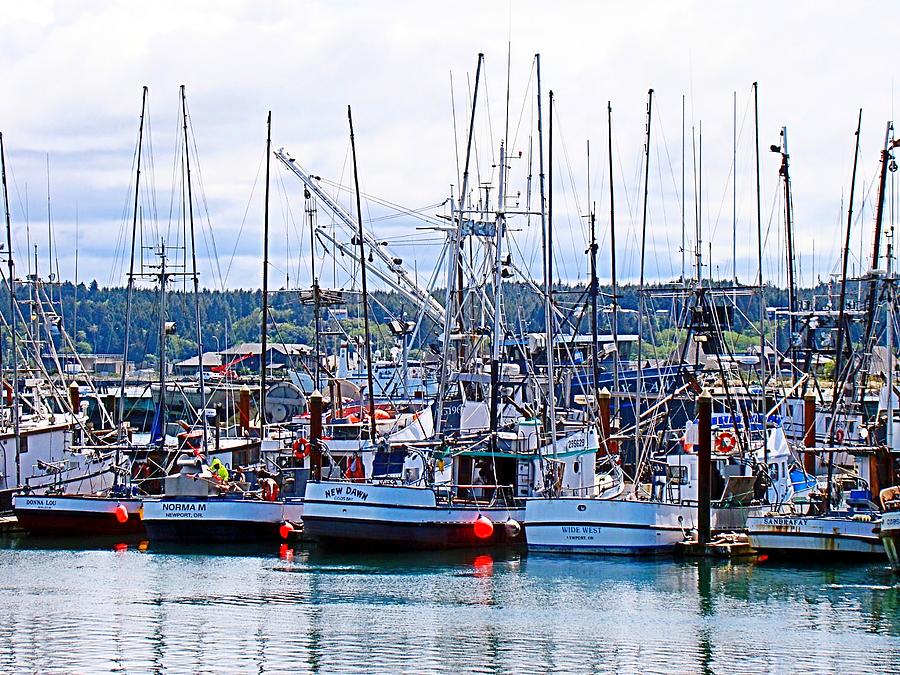 Docked Fishing Vessels  Photograph by Nick Kloepping
