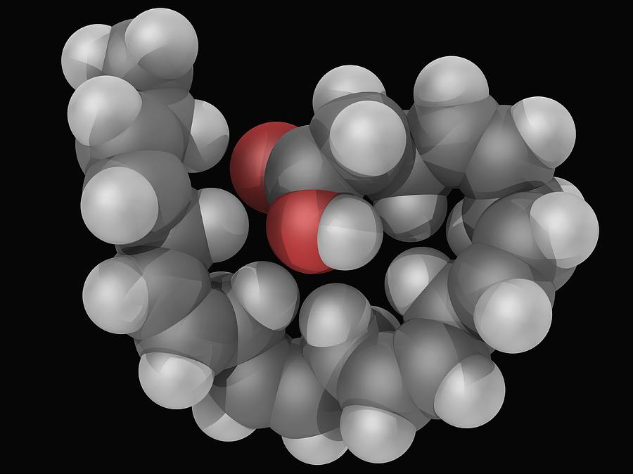 Docosahexaeonic Acid Molecule Digital Art by Laguna Design